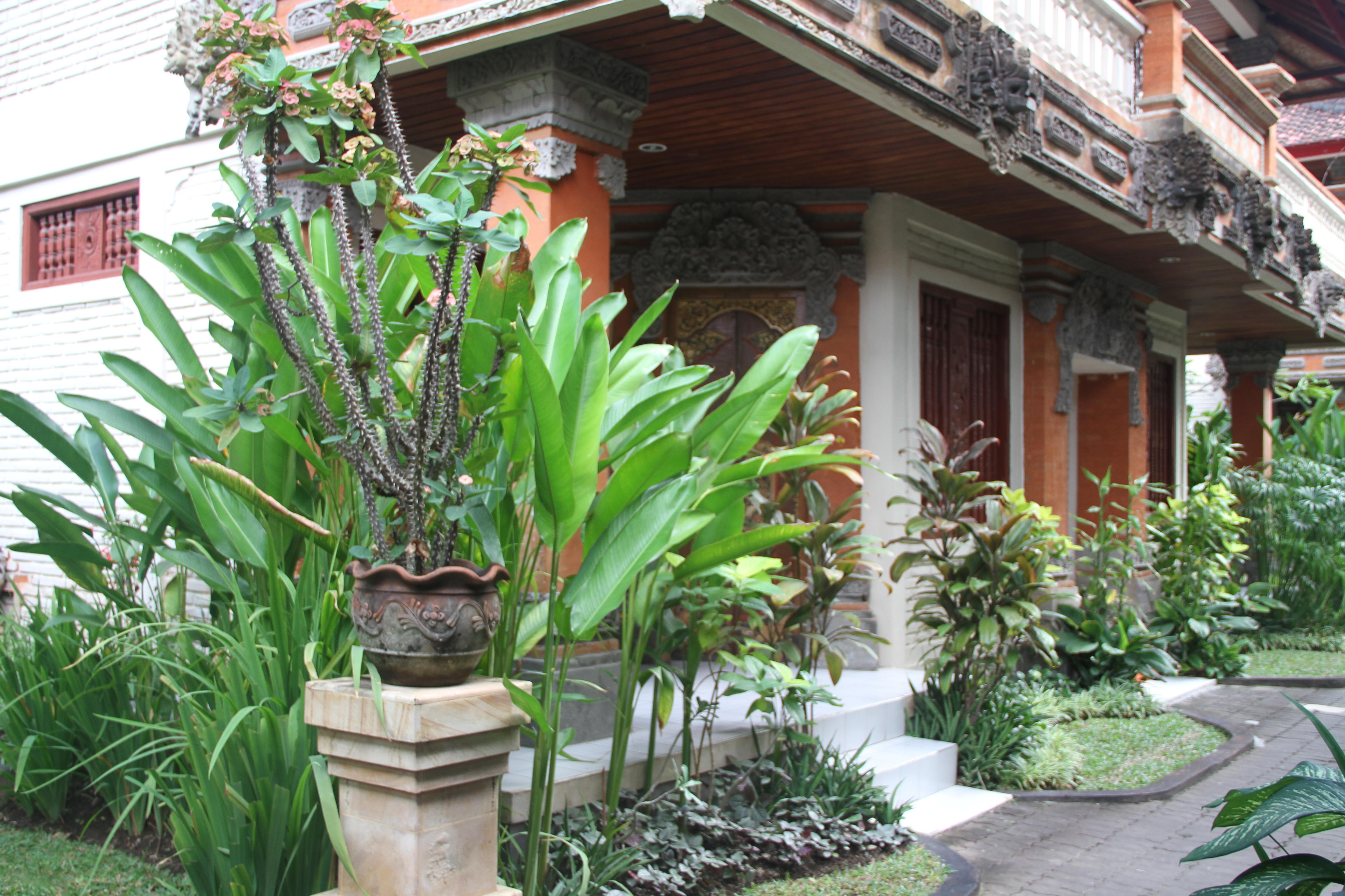 Seminyak Paradiso Hotel Kültér fotó